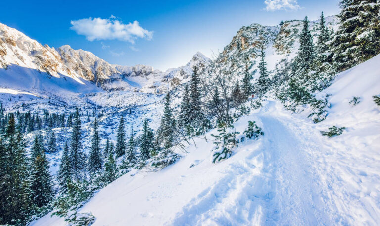 Zakpoane zima prawnik com