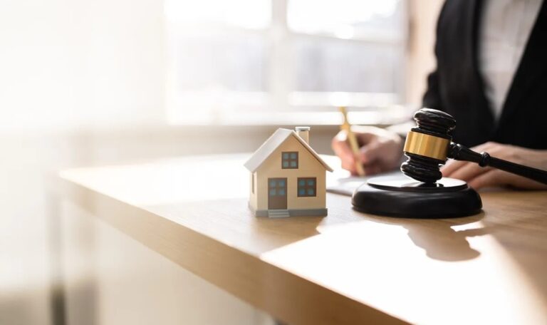 prawnik prawnik com 100