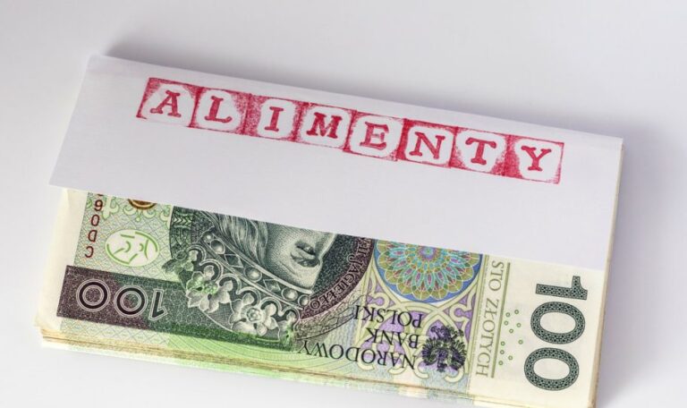 Alimenty